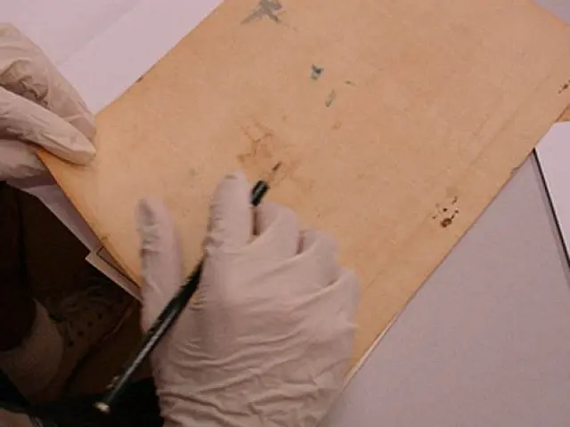 Arquivo Público expõe fotografias e documentos históricos da Cia. Matte Laranjeira