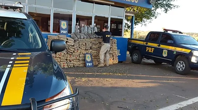 PRF apreende quase uma tonelada de maconha em falso ônibus escolar no Paraná