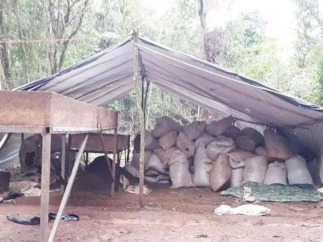 Milhares de quilos maconha e arsenal do PCC são apreendidos na fronteira