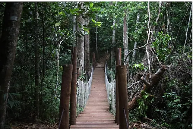 Parque Estadual Matas do Segredo é aberto ao público
