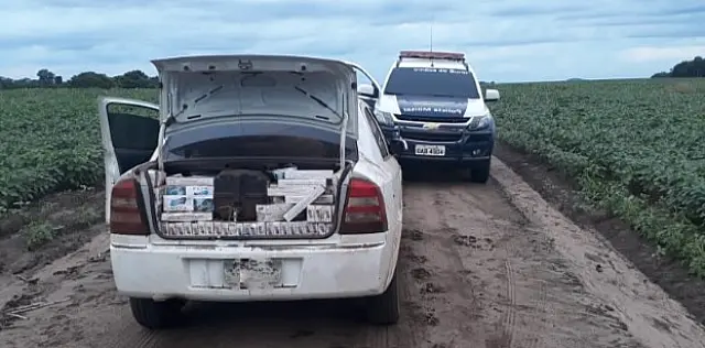 Polícia Militar em Dois Irmãos apreende mais de 2 mil pacotes de cigarros contrabandeados