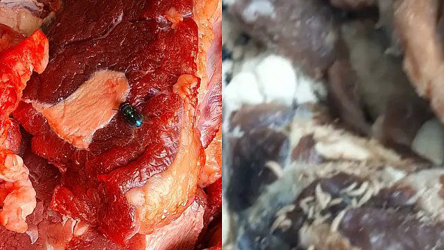 Cinco toneladas de carne podre fornecidas para escolas de MS são apreendidas
