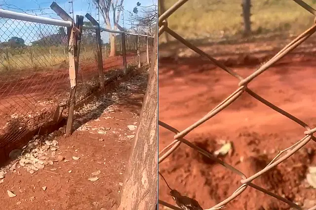 Vândalos destroem cerca de propriedade em Camisão