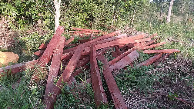 PMA autua proprietário rural em R$ 9,5 mil por exploração ilegal de madeira