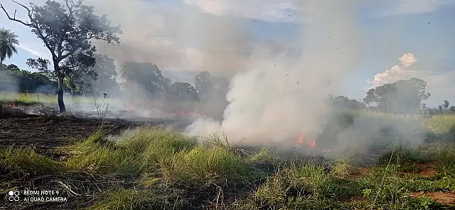 Incêndio em fazenda de Anastácio mobiliza corpo de bombeiros da região