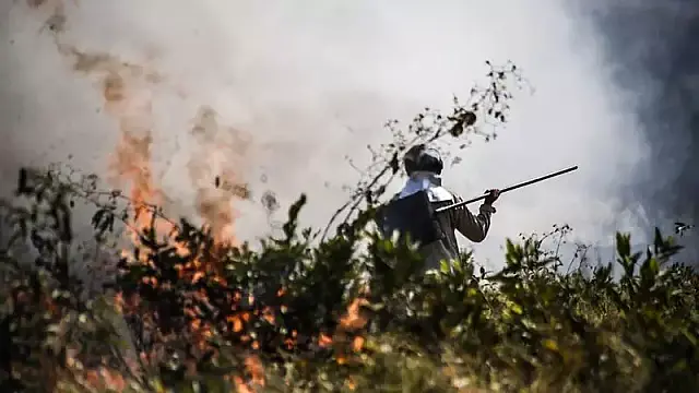 Bombeiros e brigadistas tentam conter fogo no Passo da Lontra