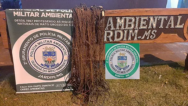 Ação conjunta autua infrator por pescar utilizando petrecho ilegal
