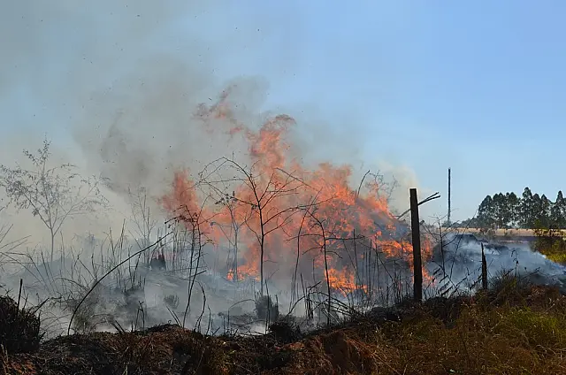 Comerciante é autuado por incêndio em terreno baldio