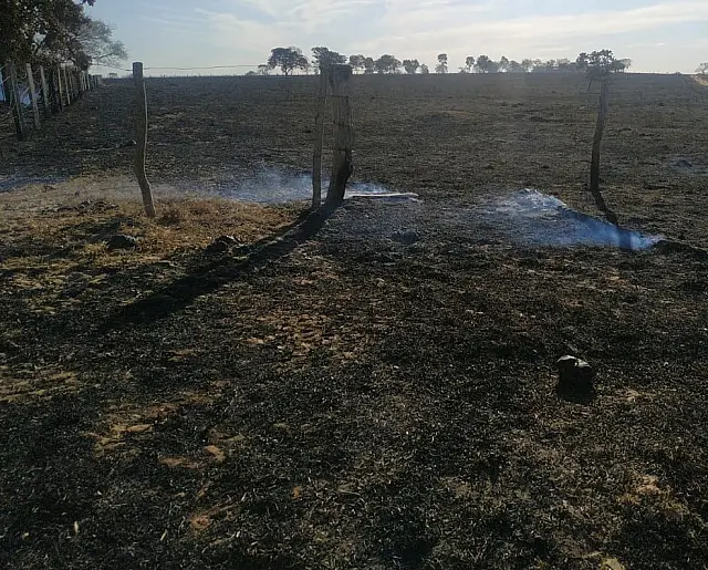Campo-grandense é autuado em R$ 65 mil pela PMA