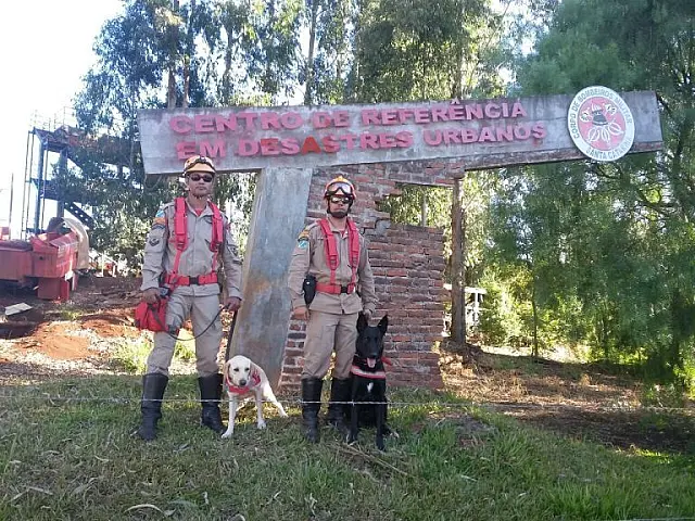 Cães do Corpo de Bombeiros de MS conquistam certificação internacional de resgate