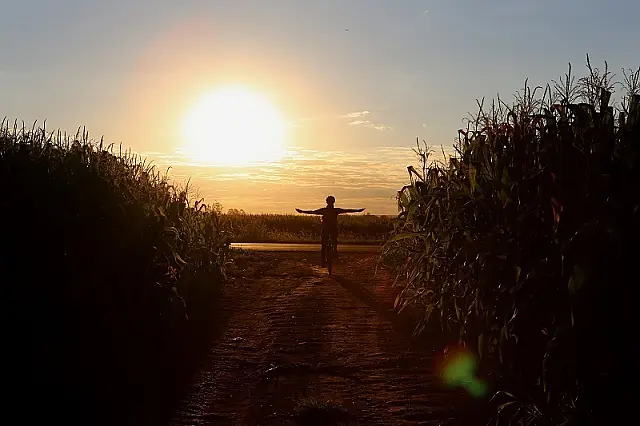 Associados da Sicredi Pantanal MS vencem concurso fotográfico SimplesCidade