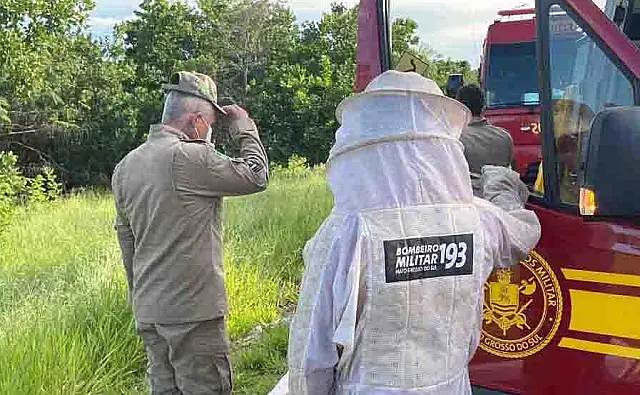 Ataque de abelhas em residências de Corumbá mobiliza Corpo de Bombeiros