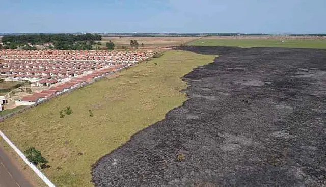 Na Capital, incêndio no Aeroporto Internacional destruiu 2,5 hectares de vegetação