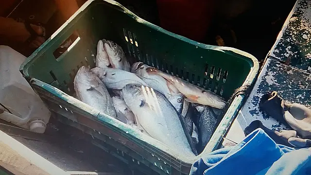 Paulistas são presos com redes ilegais e têm peixes, barco e 1500m de redes apreendidos