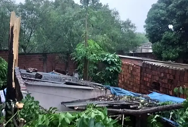 Após chuvas, árvore cai em cima do telhado de residência em Corumbá