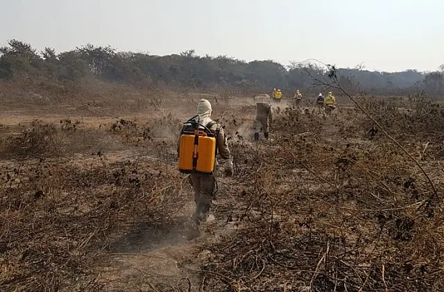 Queimadas castigam Pantanal e focos de calor quase dobram no mês de julho
