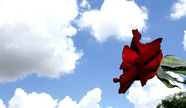 Natal será de sol entre nuvens e calor em Aquidauana