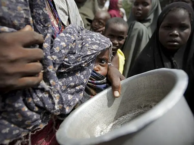ONU alerta sobre desperdícios no Dia Mundial da Alimentação