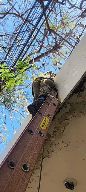 Bombeiro resgata filhotes de gato em telhado no centro de Corumbá