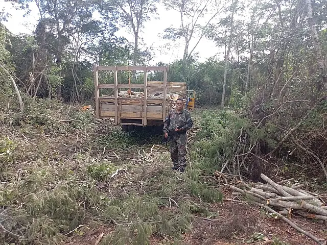 PMA de Corumbá autua três infratores em R$ 3,1 mil por extração de madeira ilegal