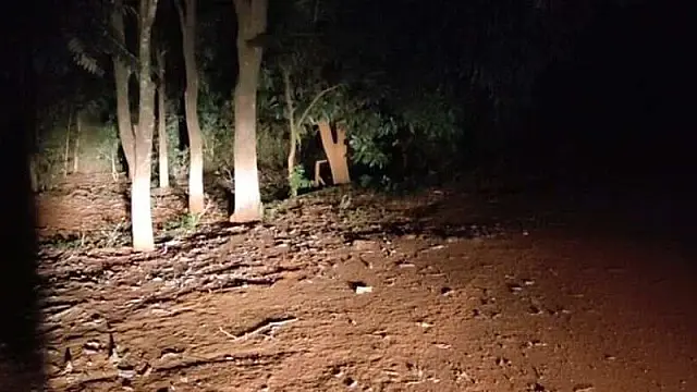Ex-vice-prefeito de Rio Brilhante morre em acidente na BR-267