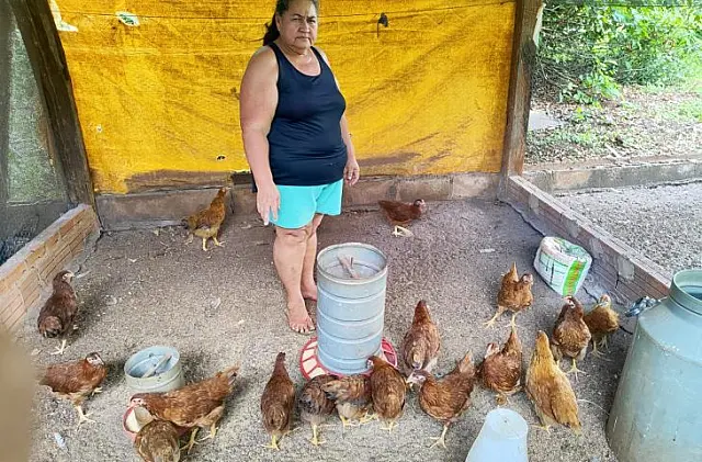 MS lidera adesão de agricultores familiares ao Programa Fomento Rural