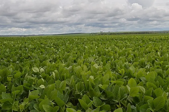 Entidades do agronegócio apresentam resultados do Soja Plus