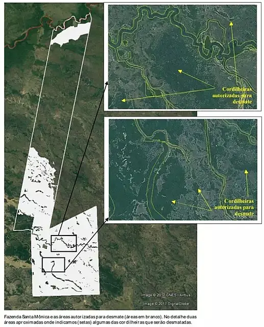 Tribunal de Justiça libera desmate de 20 mil hectares no Pantanal