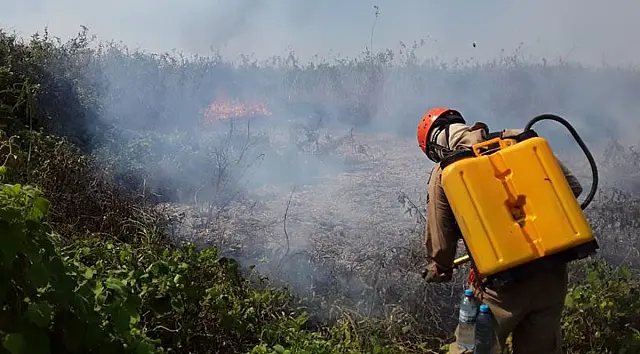 Audiência pública nesta quarta debate situação das queimadas no Pantanal