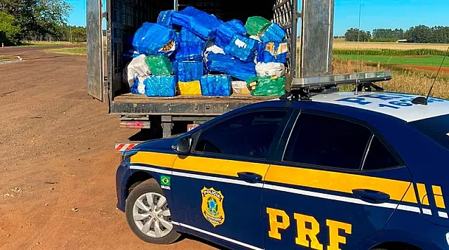 Operação Tamoio: PRF apreende 4,1 T de maconha em MS