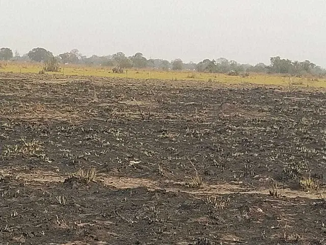 Incêndio em fazenda de Aquidauana atinge pastagem vizinha e rende multa