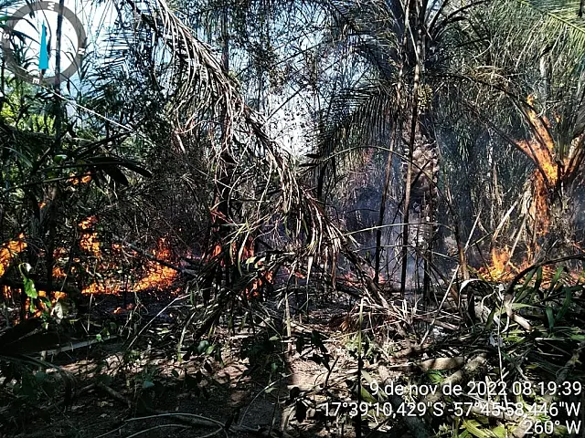 Corpo de Bombeiros controla focos de incêndio na região de Porto Índio