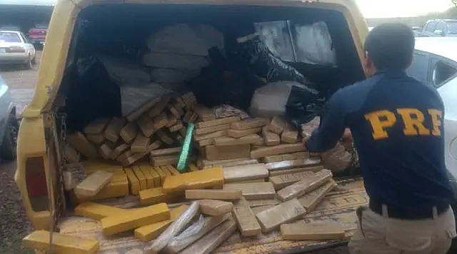 PRF apreende mais de 1t de maconha com auxílio de cães farejadores