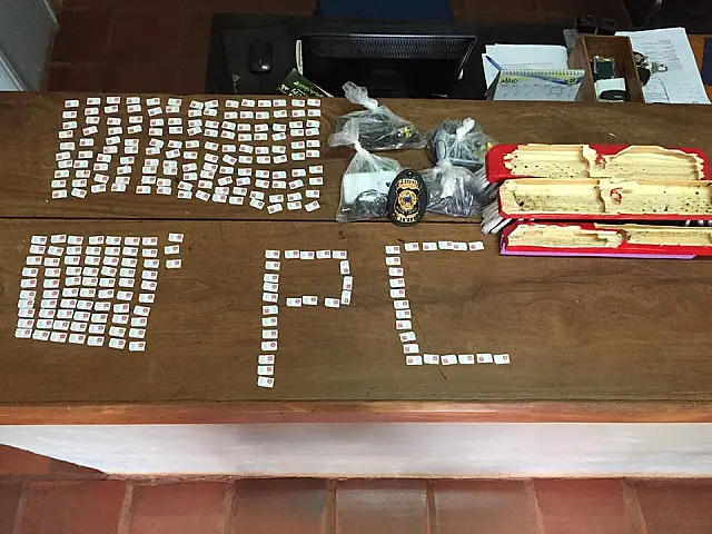 Mulher tenta entrar em presídio com 256 chips de celular escondidos em vassouras