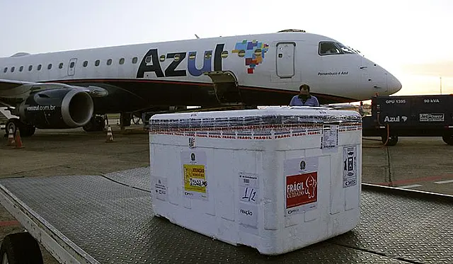Novo lote de vacina da Pfizer chega ao Estado nesta segunda-feira