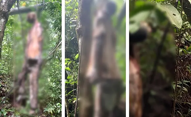 Corpo em decomposição é encontrado pendurado em árvore