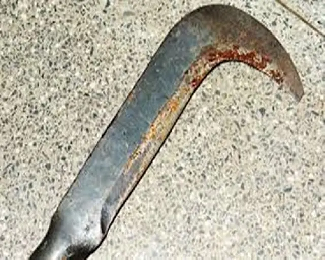 Jovem tenta invadir casa de vizinhos, agride mulher, leva golpe de foice em fica em estado grave em Anastácio