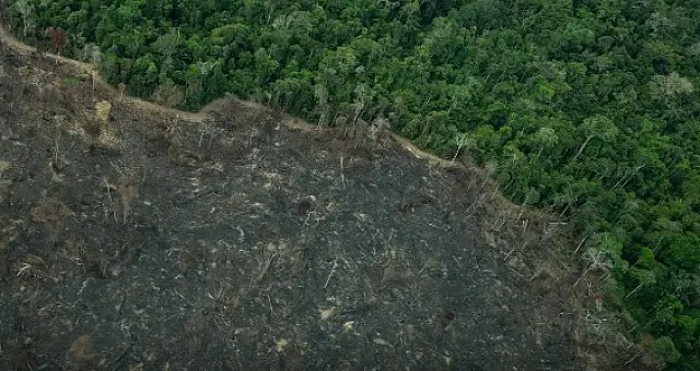 Projeto "implode" licenciamento ambiental no Brasil, diz especialista