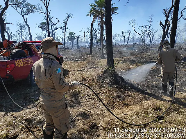 Pantanal tem queda de 62% em queimadas, mas alertas continuam nos próximos meses
