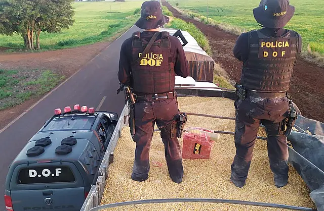 Apreensão de 20,8 toneladas de maconha é a maior do DOF no ano