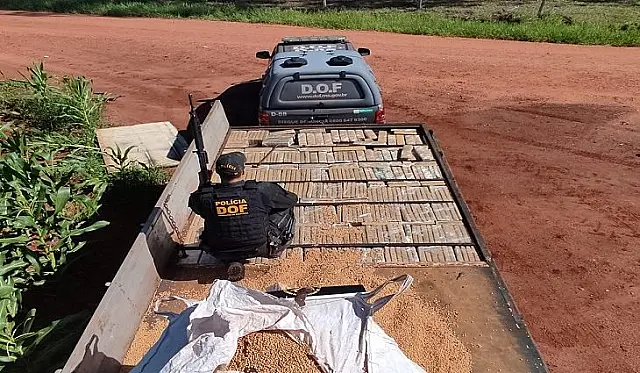 Fronteira: mais de 1,8 toneladas de maconha é apreendida