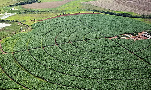 Conab estima safra de grãos 2021/22 em 289,6 mi de toneladas