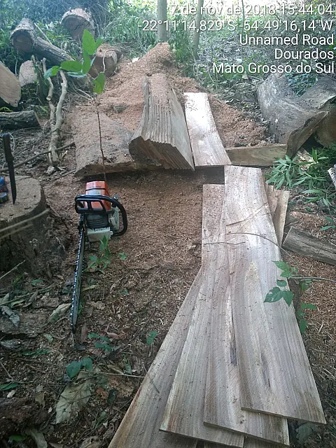 PMA autua homem por exploração de madeira em reserva legal de aldeia indígena