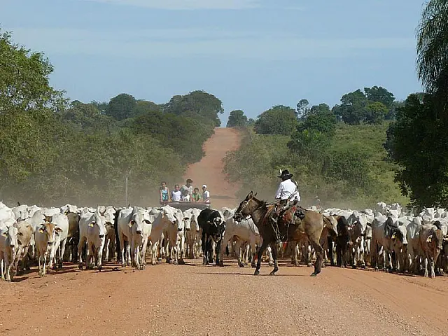 Rodovia Aquidauana-Rio Verde está no cronograma do DNIT