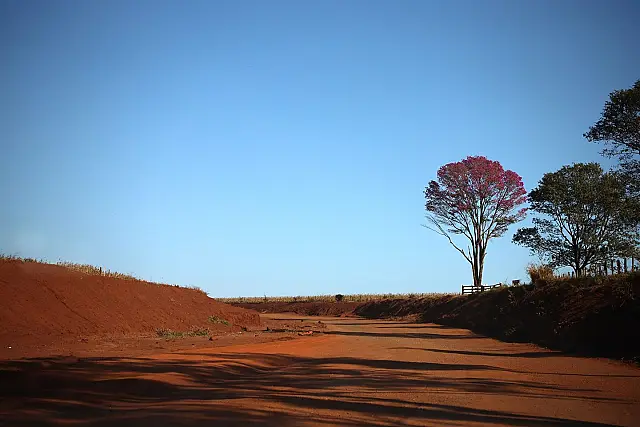 MS tem previsão de semana quente e sem chuva
