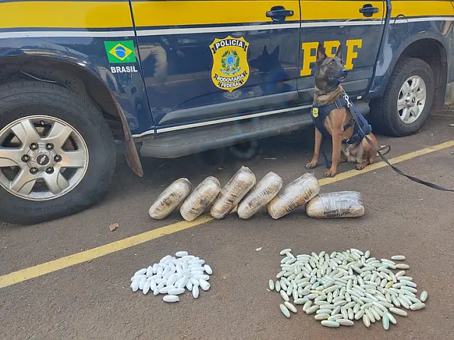 PRF apreende cocaína e skunk em ônibus na BR-262