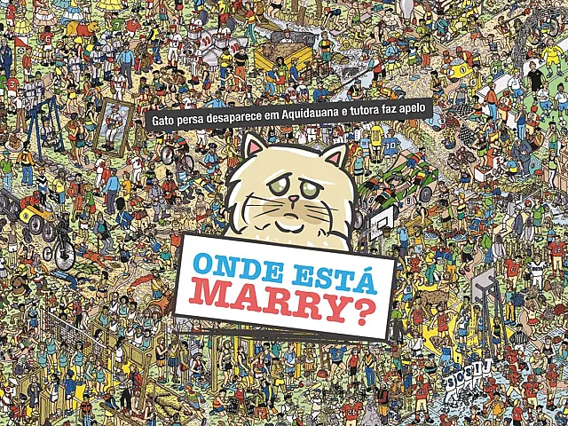 Bora ajudar!