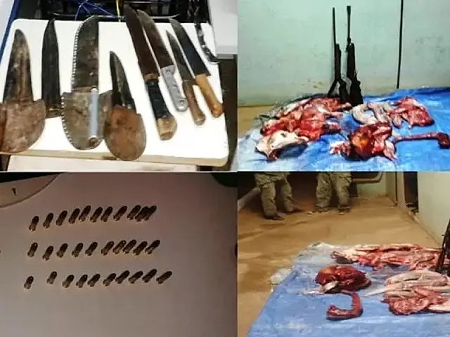 PM de Aquidauana prende caçadores de animais silvestres