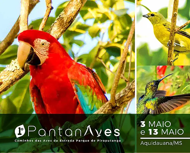 Rica no ecoturismo, Aquidauana sediará o 1° Pantanaves em maio