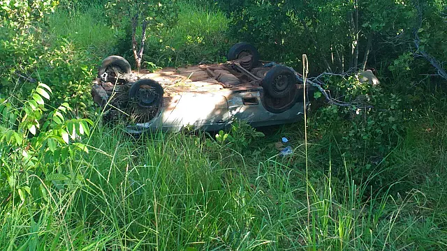 Idoso se assusta com animal na pista e capota na BR-262